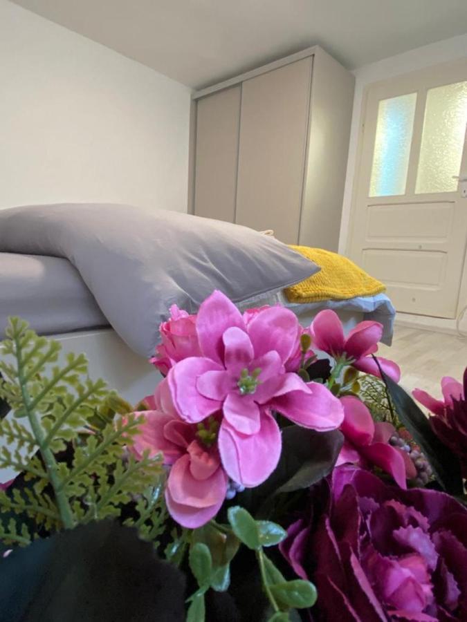 Grey Studio Sibiu Dış mekan fotoğraf